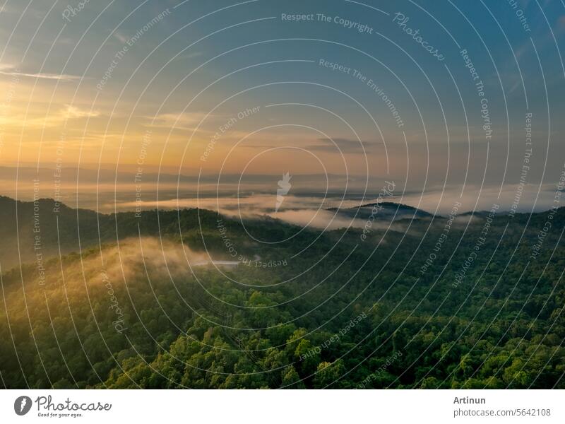 Schöne grüne Berglandschaft mit Morgensonnenaufgang Himmel und Nebel. Luftaufnahme von grünen Bäumen in tropischen Bergwäldern und Nebel im Winter. Naturszene von Bäumen. Grüne Umgebung Hintergrund.