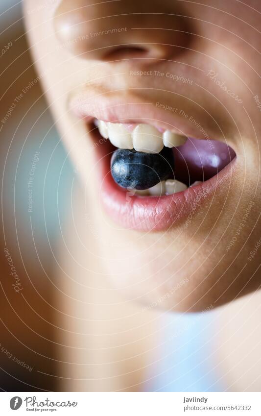Unbekanntes Ernte-Mädchen hält frische Blaubeeren zwischen den Zähnen Biss Gesundheit lecker reif Frucht Ernährung Lebensmittel süß Teenager Vitamin ganz Beeren