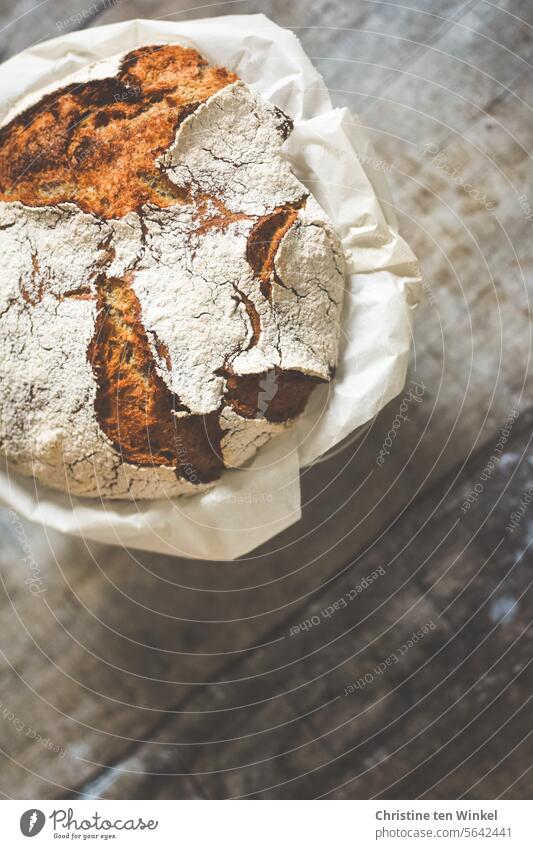 weg damit! | frisch schmeckt das Brot am besten Brotkruste knusprig aromatisch rustikal Oberfläche selbstgemacht Brotlaib Vorfreude selbstgebackenes Brot Essen