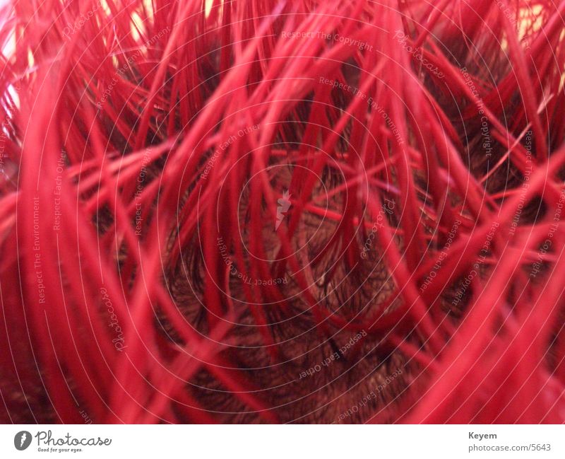 Rote Haare rot Gel Makroaufnahme Nahaufnahme Haare & Frisuren Punk stachelig Farbe