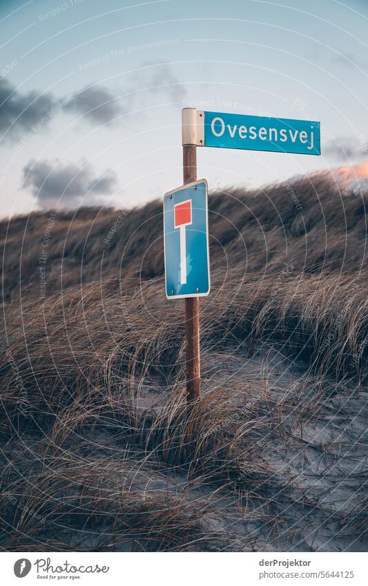 Düne mit Straßenschild in Dänemark I relaxation erholen & entspannen" Erholungsgebiet baden Freiheit Urlaub Urlaubsstimmung Außenaufnahme Meer Farbfoto