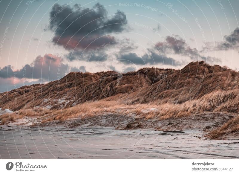 Dünen mit Wolken in Dänemark relaxation erholen & entspannen" Erholungsgebiet baden Freiheit Urlaub Urlaubsstimmung Außenaufnahme Meer Farbfoto Strandleben