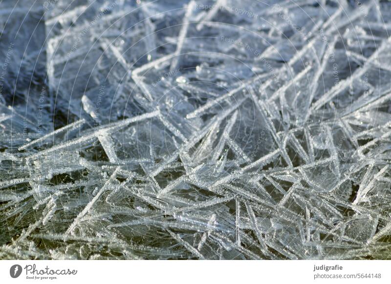 Eis Eis und Frost Kälte gefroren Winter kalt winterlich gebrochenes Eis Mosaik zerbrochen Jahreszeiten frostig