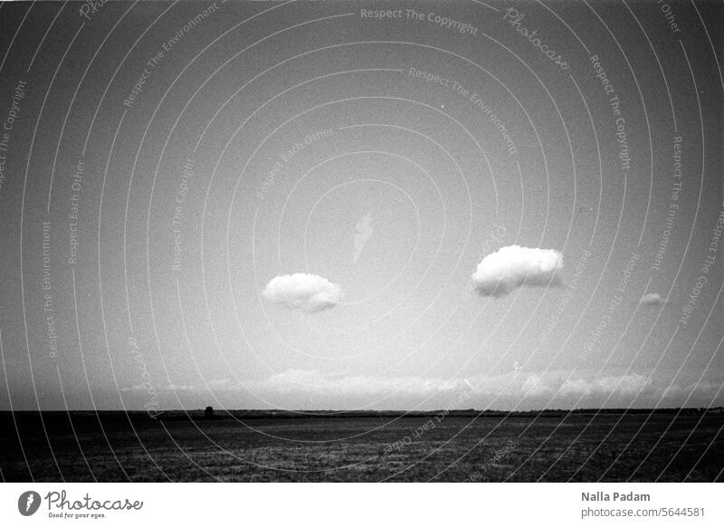 Horizont und zwei Wolken analog sw Schwarzweißfoto schwarzweiß Natur Wetter Sommer Feld Analogfoto Außenaufnahme Linie Mecklenburg