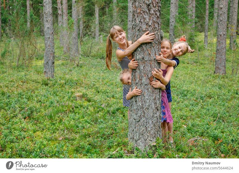 Kinder umarmen Kiefer in einem Wald Camping offen Pflege heiter Kindheit genießen Genuss Aufforstung Frischluft Freunde Freundschaft Spaß Mädchenzeit