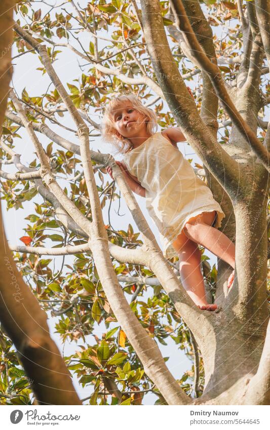 Kleines Mädchen klettern Baum spielen in einem Sommergarten - Kind riskant spielen Konzept Aktivität Verhalten Ast sorgenfrei Herausforderung Kindheit kindisch