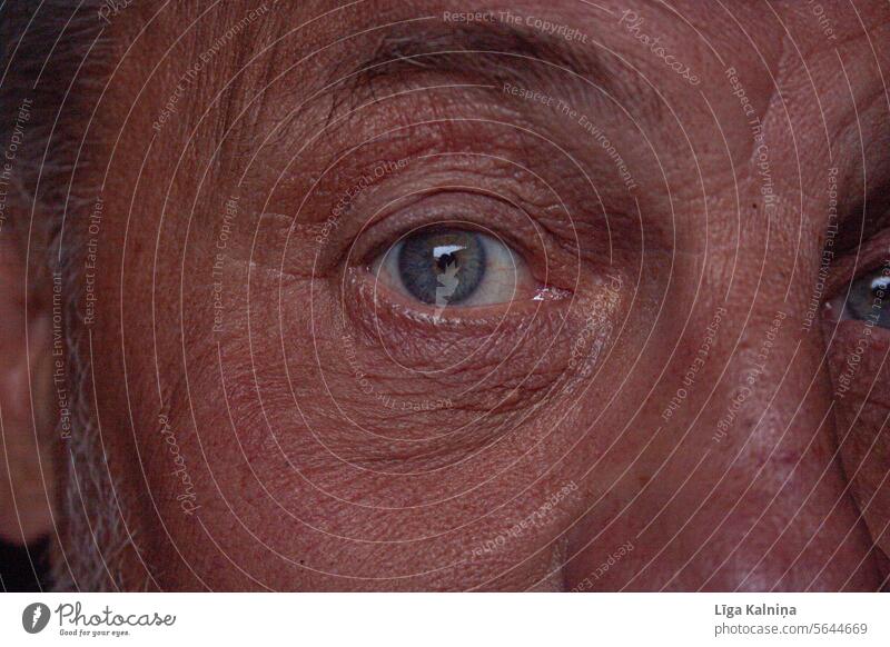 Abgeschnittene Nahaufnahme des Auges Augenfarbe Blick Gesicht Wimpern Mensch Detailaufnahme abgeschnitten Lebensmitte Mann Männergesicht