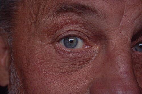Abgeschnittene Nahaufnahme des Auges Augenfarbe Blick Gesicht Wimpern Mensch Detailaufnahme abgeschnitten Lebensmitte Mann Männergesicht
