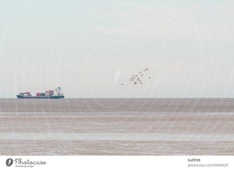 Panorama vom Wattenmeer mit Vogelschwarm und Containerschiff Wattenmeer an der Nordsee Küste Zugvögel Vogelzug Schifffahrt Globalisierung Handelshafen