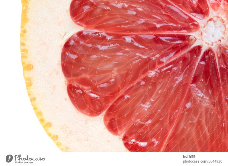 Nahaufnahme einer aufgeschnittenen Grapefruit orange Zitrusfrüchte Frucht Ernährung Lebensmittel Vitamin Gesunde Ernährung Farbfoto Bioprodukte