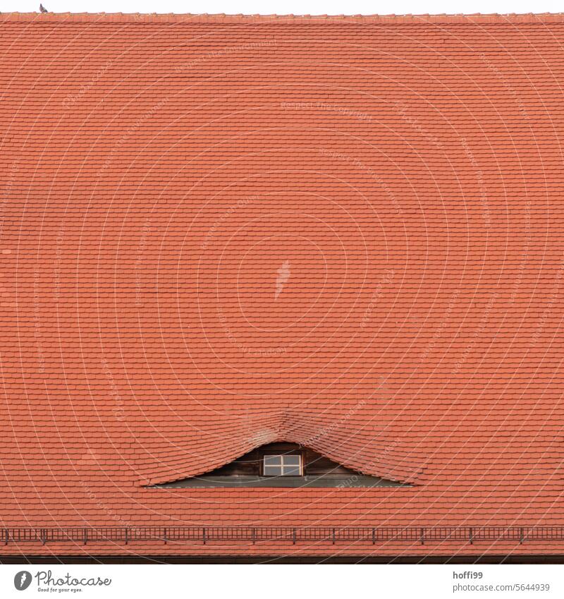 rotes Ziegeldach mit Taube Dach Dachfenster Dachziegel Dinge mit Gesicht Dachgaube Dachziegeln minimalistisch Minimalismus Architektur Haus Strukturen & Formen