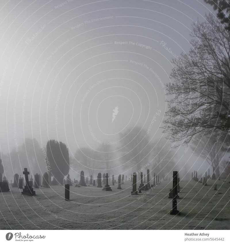 Neblige Friedhofsszene, Northumberland UK Grabsteine Tod Trauer Traurigkeit Vergänglichkeit Religion & Glaube Außenaufnahme Windstille Stein Nebel