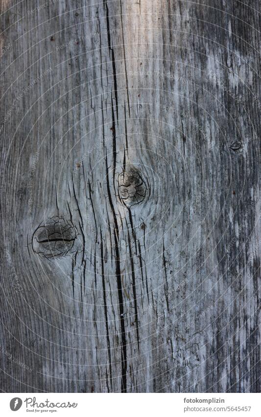 silbergraue Holzmaserung Holzstruktur verwittert Astloch Maserung Strukturen & Formen alt Holzwand Muster natürlich Bretter Planken silbern grau-silber Patina