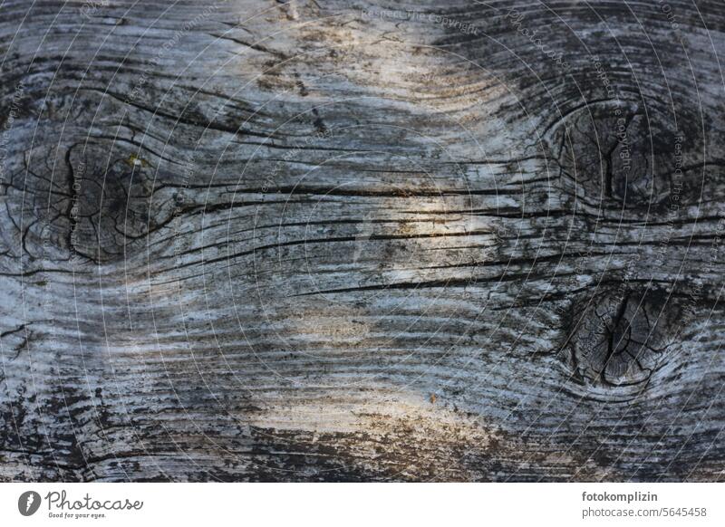 verwitterte Holzstruktur Struktur hölzern Oberfläche alt grau silbern Maserung holzoberfläche Strukturen & Formen Holzmaserung ausschnitt Nahaufnahme zerfurcht