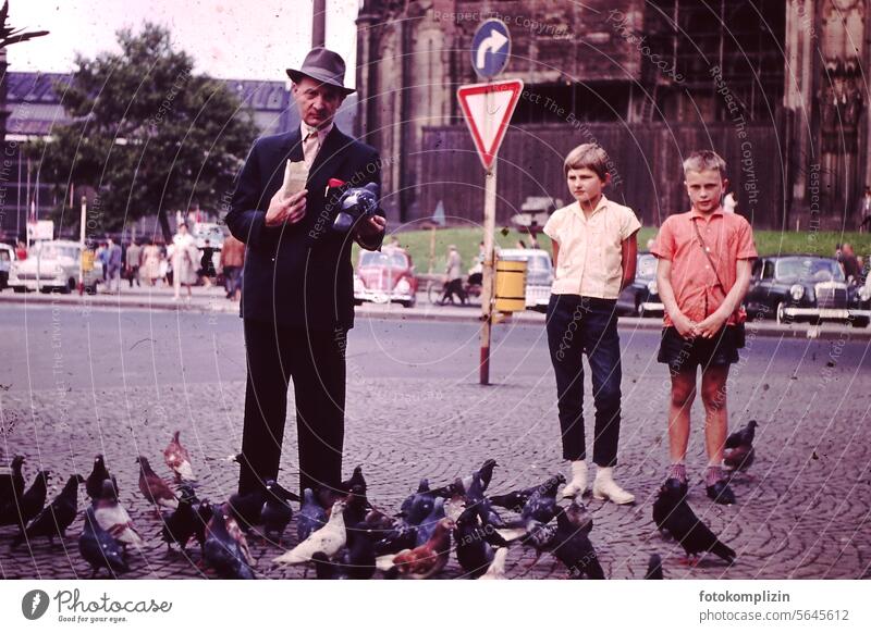 Mann füttert Stadttauben Tauben Vögel füttern Person früher alt alte Zeiten Tierliebe Vogelschwarm Straße Nostalgie Staße Stadtleben Platz friedlich