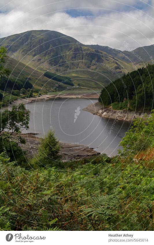 niedrige Wasserstände in Haweswater, Cumbria, UK haweswater Lake District National Park Sommer Dürre Berge See Berge u. Gebirge reisen Landschaft Außenaufnahme