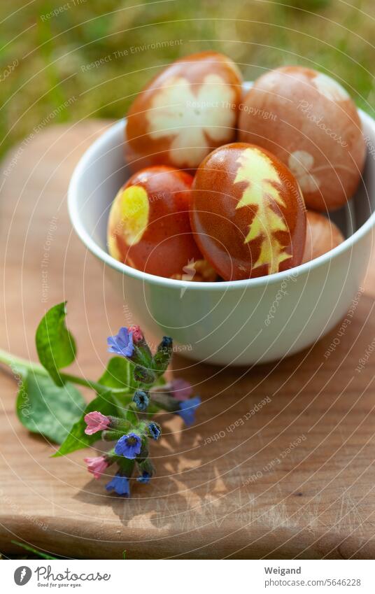 Ostereier Ostern Fest Natur Essen schön christlich Eier färben Basteln