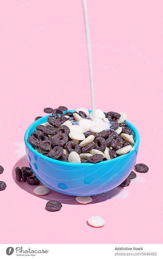 Milch in eine Schüssel mit Schokoladenflocken gießen Gießen melken Schokoladengetreide Schalen & Schüsseln blau rosa Hintergrund Frühstück Lebensmittel Snack