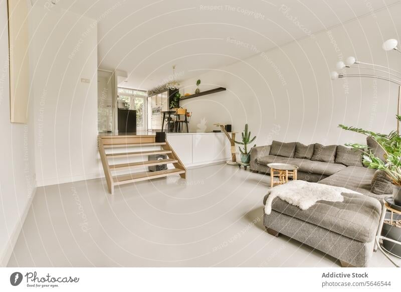 Modernes Wohnzimmer mit elegantem minimalistischem Dekor Innenbereich modern Sofa Abschnitt grau hell Möbel hölzern Stock Pflanze natürliches Licht Zeitgenosse