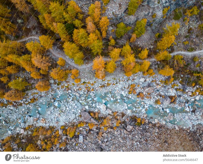 Luftaufnahme eines Flusses, der durch einen Herbstwald fließt Antenne Ansicht Wald Natur Landschaft Baum Laubwerk Saison Wasser natürlich im Freien Farbe