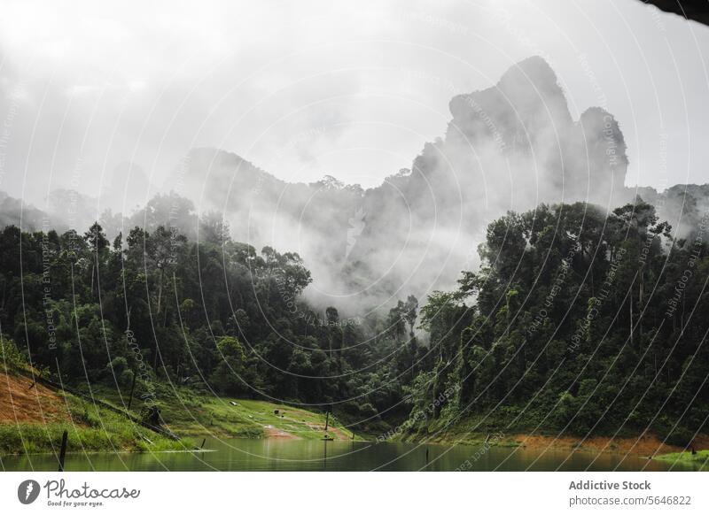 Mit Nebel bedeckte Berge in der Nähe eines Sees in Thailand Natur Berge u. Gebirge tropisch Baum Park Landschaft Umwelt exotisch Khao Sok Nationalpark Asien