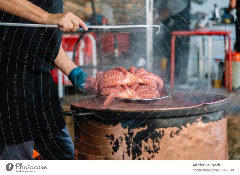 Unbekannter Koch hebt einen fertig gekochten Oktopus aus einem kochenden Topf galicisch Octopus Kochtechnik Haken Siedekessel Servieren Verdunstung rustikal