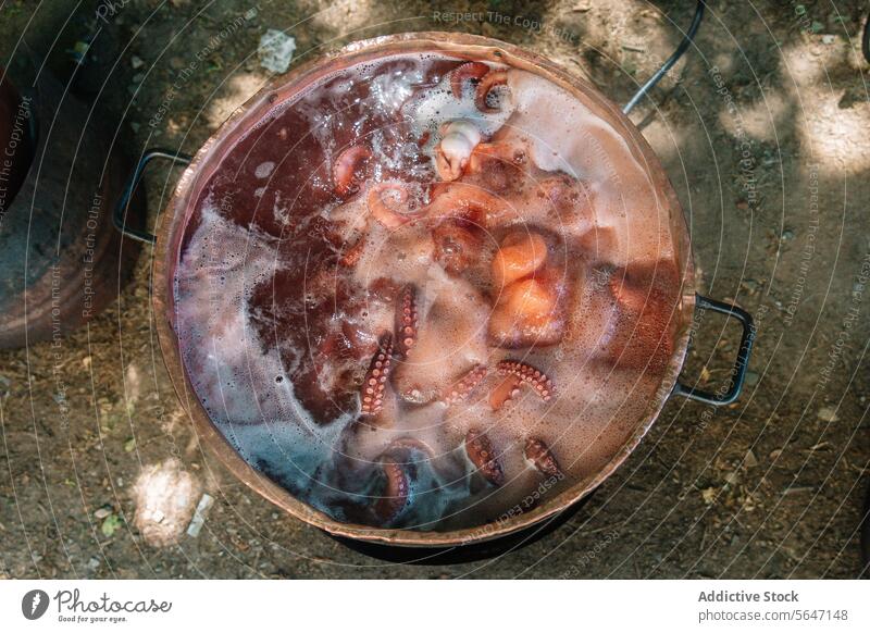 Gekochter Oktopus in Galicien kochend Octopus Galicia Topf Tentakel köchelnd Wasser kulinarische Szene Festivals Kochvorgang Spektakel traditionell