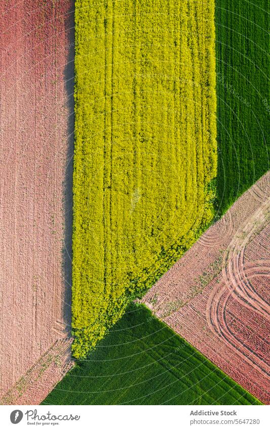 Strukturierte Luftaufnahme von Ackerland mit geometrischen Mustern von gepflügten Feldern in Grün-, Gelb- und Brauntönen Antenne Ansicht grün gelb braun Ton