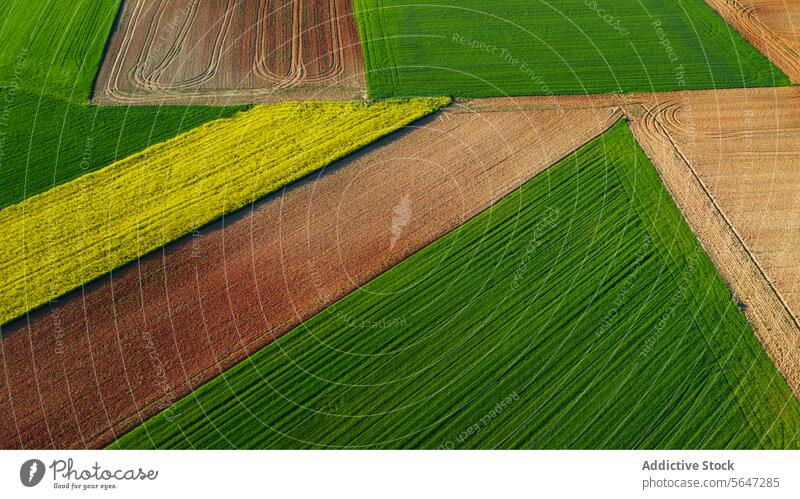 Luftaufnahme von landwirtschaftlichen Feldern mit geometrischen Mustern in Grün-, Braun- und Gelbtönen, die das Flickwerk der Natur symbolisieren Antenne