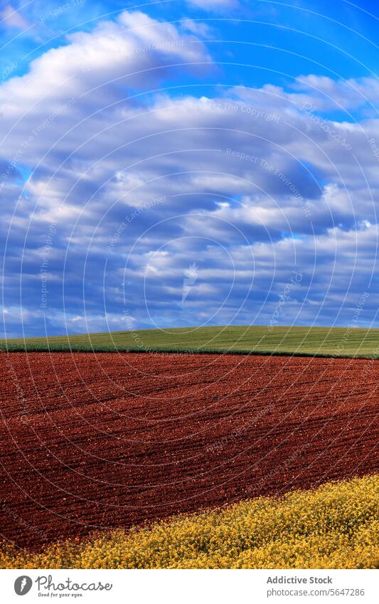 Ruhige Ackerszene mit einem sattbraunen gepflügten Feld im Vordergrund und einem üppig grünen Getreidefeld unter einem wolkenverhangenen Himmel ruhig Ackerland