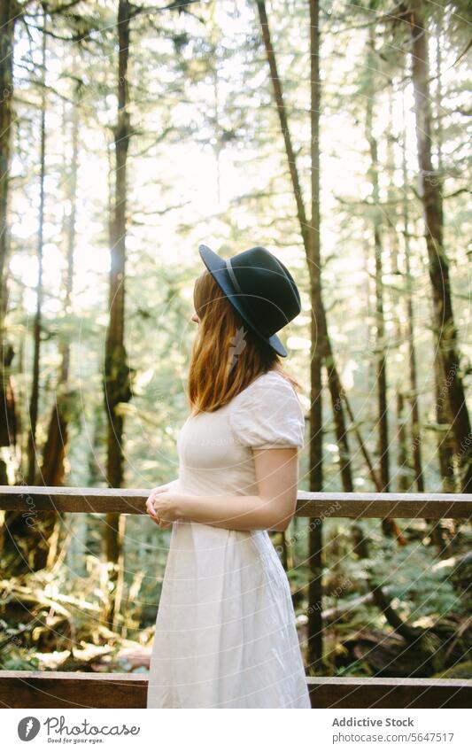 Frau im weißen Kleid genießt die Ruhe des Waldes im Avatar Grove, Vancouver Island Avatar-Hain Hut Sonnenlicht Gelassenheit Natur beschaulich British Columbia