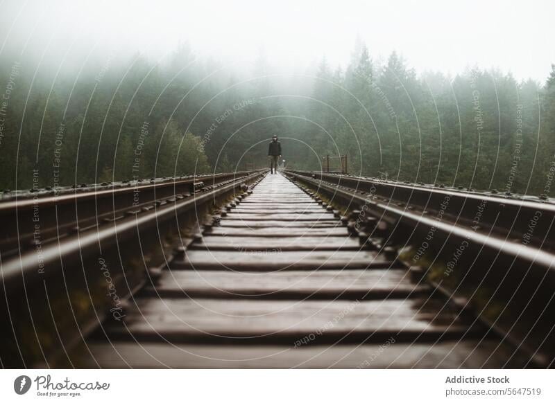 Mann bei nebliger Eisenbahnfahrt auf Vancouver Island Nebel Reise Einsamkeit Wald Abenteuer British Columbia Kanada Bahn Figur Spaziergang Leichentuch dicht