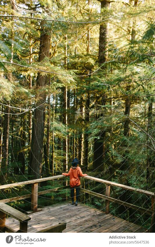Einsamkeit inmitten des grünen Waldes von Avatar Grove, Vancouver Island Avatar-Hain British Columbia Kanada Grün Ruhe Natur hölzerne Plattform Person im Freien