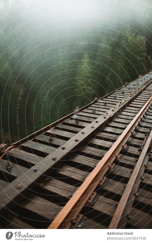 Nebliger Waldblick von einer alten Bahnstrecke Eisenbahn Holz Zug Nebel Bäume Vancouver Island Kanada British Columbia Natur Wildnis Erkundung Gelassenheit