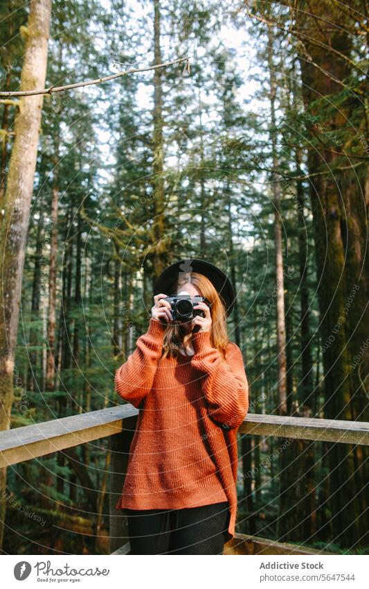 Fotograf fängt die Schönheit der Wälder von Vancouver Island ein Frau Fotokamera Avatar-Hain Fotografie Wald British Columbia Kanada Brücke Bäume Grün Natur