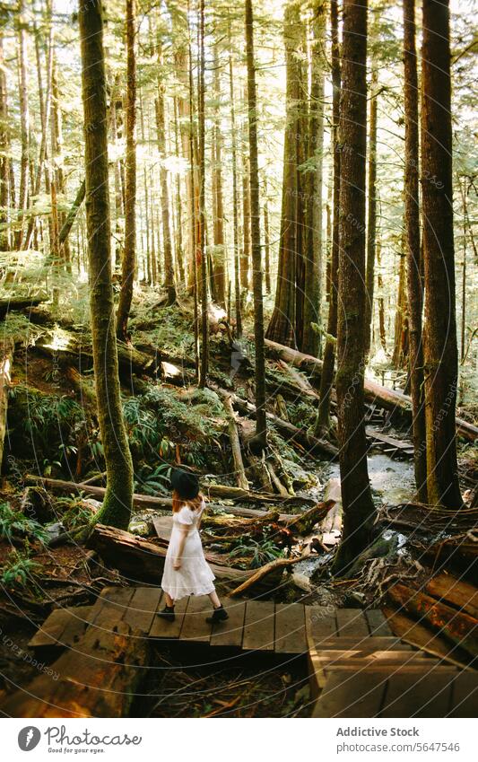 Gelassener Spaziergang durch einen Wald auf Avatar Grove, Vancouver Island Kleid Avatar-Hain hölzern Weg Frau friedlich sonnendurchflutet British Columbia