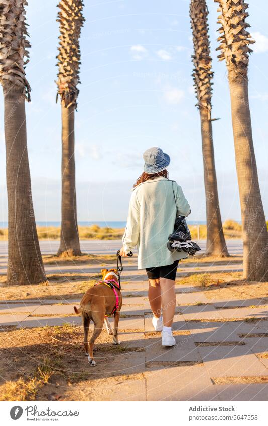 Frau mit Haustier beim Spaziergang im Park Hund Schlittschuh laufen Fußweg in voller Länge Rückansicht anonym inline anleinen Zusammensein Lifestyle Hut Baum