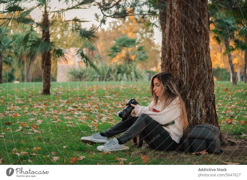 Junge Frau entspannt sich mit Fotoapparat in einem Park bei Sonnenuntergang Fotokamera Herbst entspannend Fotograf Baum Sitzen Natur Freizeit im Freien fallen