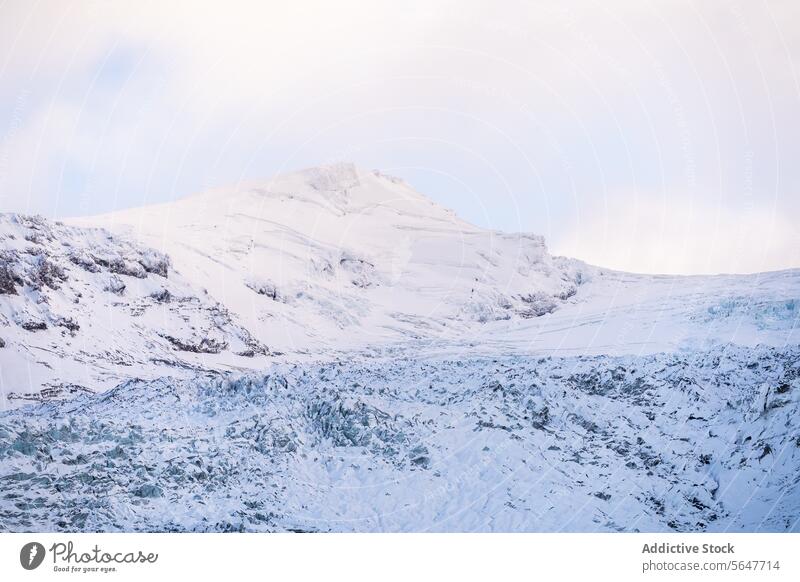 Schneebedeckte Berglandschaft in Island Berge u. Gebirge Landschaft Wildnis Gelassenheit pastellfarbener Himmel eisig schneebedeckt Ansicht Natur im Freien