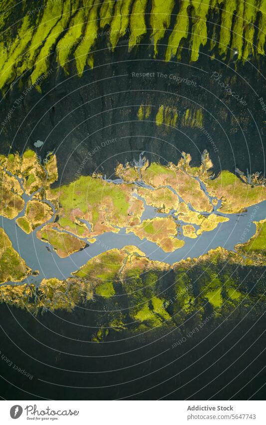 Top Ansicht Drohne Bild der atemberaubenden Drohne Blick auf Flussmündung kurvigen Fluss inmitten grüner Landschaft Berge in Island Mündung Tal Berge u. Gebirge