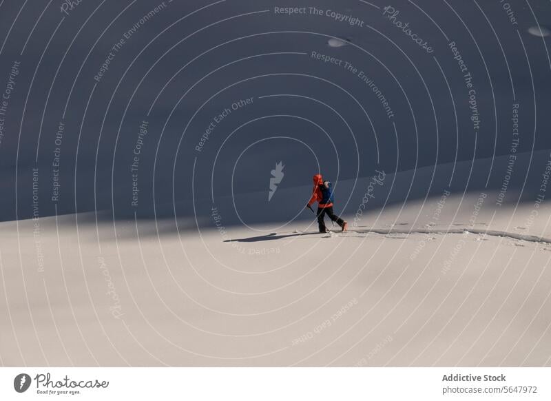 Person beim Skifahren auf einem schneebedeckten Berg Skifahrer Berge u. Gebirge Rückansicht anonym aktiv Mast Rucksack Schnee Berghang Kanada Natur majestätisch