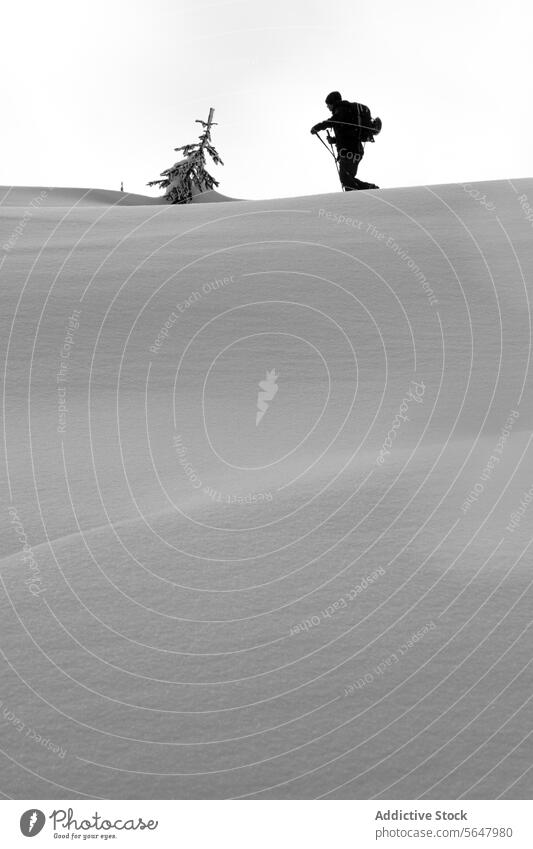 Person spaziert auf schneebedecktem Berg Skifahrer Spaziergang Berge u. Gebirge anonym aktiv Mast Rucksack Schnee Berghang Kanada schwarz auf weiß Natur