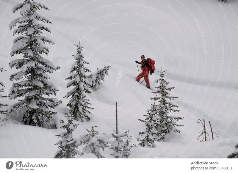 Person spaziert auf schneebedecktem Berg Skifahrer Spaziergang Berge u. Gebirge aktiv Mast Rucksack Schnee Berghang Kanada Natur majestätisch Schönheit
