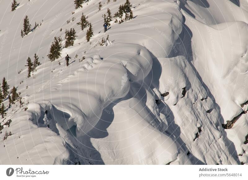 Person beim Skifahren auf einem schneebedeckten Berg Skifahrer Berge u. Gebirge anonym aktiv Mast Rucksack Schnee Berghang Kanada Natur majestätisch Schönheit