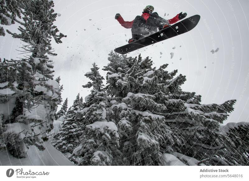 Aktiver Snowboarder springt von einer schneebedeckten Piste Person springen Berge u. Gebirge Berghang Klarer Himmel Kanada Urlaub Winter von unten Abenteuer