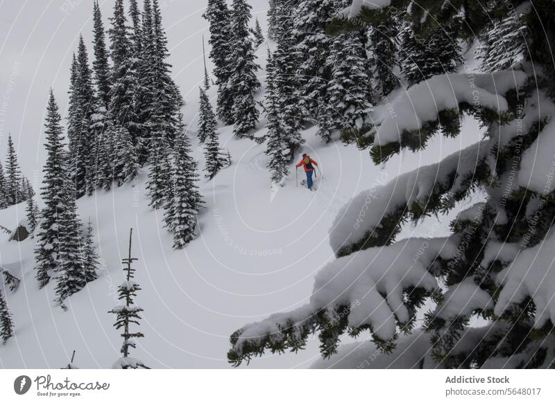 Person spaziert auf schneebedecktem Berg Skifahrer Spaziergang Berge u. Gebirge anonym aktiv Mast Rucksack Schnee Berghang Kanada Natur majestätisch Schönheit