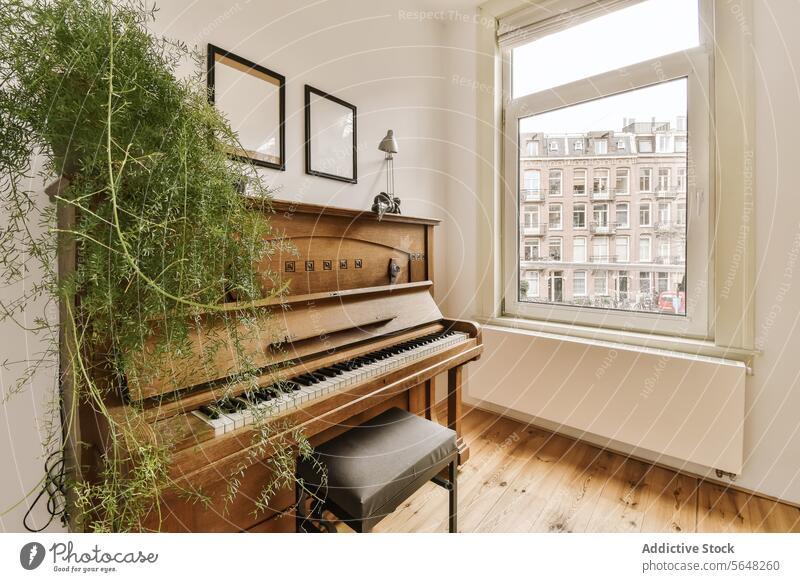 Wohnzimmer mit Klavier und Fenster Pflanze Appartement modern Rahmen Wachstum blanko Textfreiraum Sitz Haus Musik Instrument hölzern Heizkörper Möbel Design