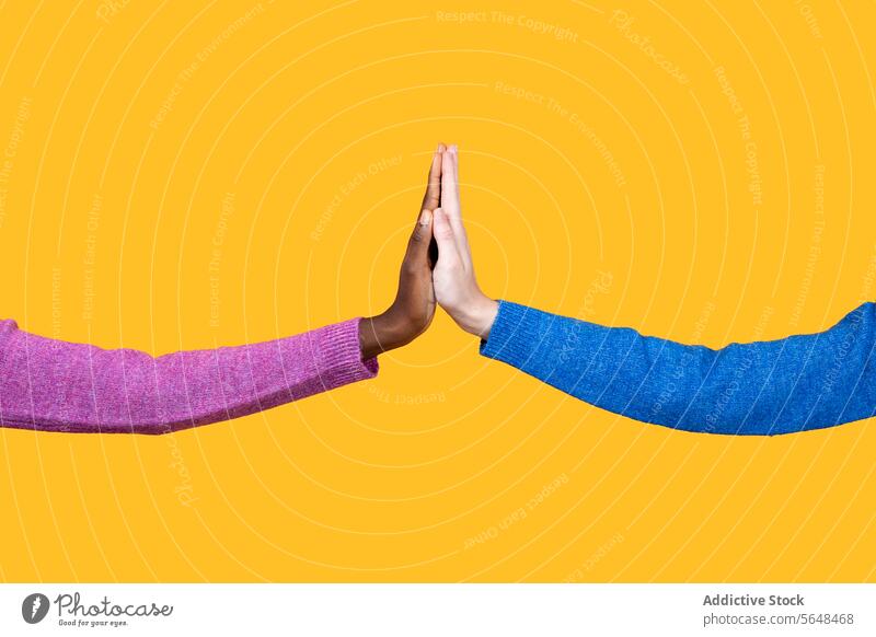 Anonyme multirassische Frauen, die sich auf gelbem Hintergrund die Hände berühren vielfältig Hand berührend Einheit Pullover Zusammensein Freund rosa blau