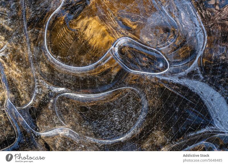 Verschlungene Eismuster über goldener Bodentextur Muster Textur Nahaufnahme Natur filigran Zusammenspiel Detailaufnahme Oberfläche abstrakt Winter kalt