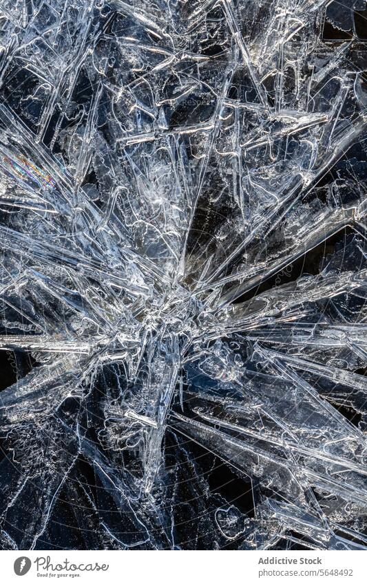 Verschlungene Eismuster an einem dunklen Wintertag Muster abstrakt Kristalle Natur kalt Textur Design Nahaufnahme kompliziert dunkel Hintergrund Makro gefroren
